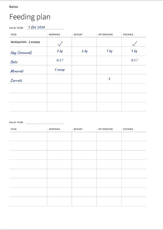 The filled-in feeding plan: hay, oats, minerals and carrots by meal